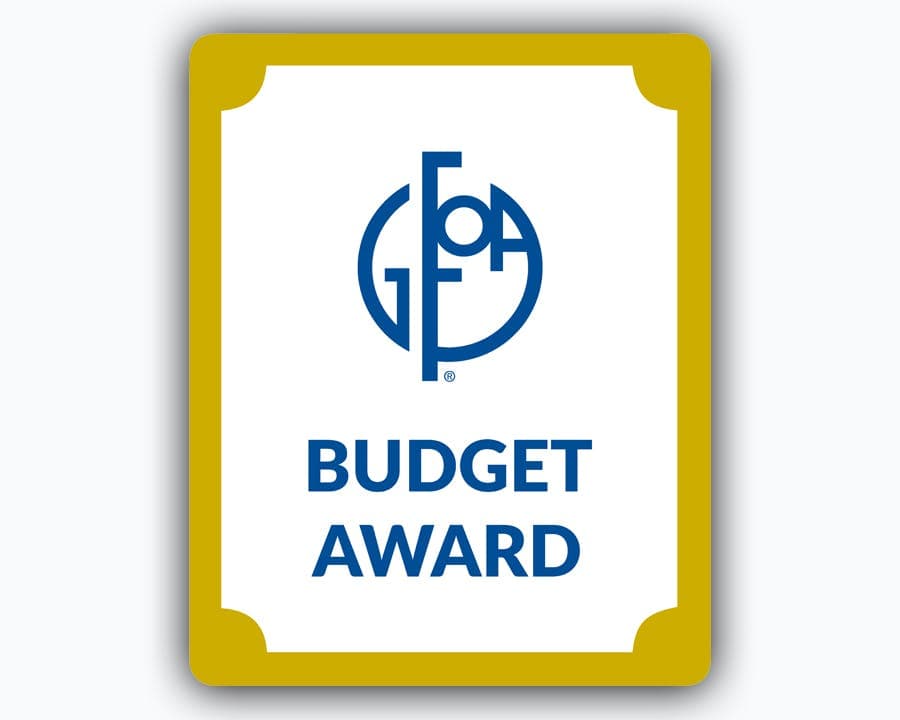 Image of Budget Award